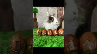 А ну-ка-давай-ка ❤️ Малыш и Баффи Милаффи ❤️😻 