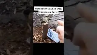 #мем #мемчик