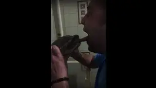 Черепаха укусила за язык