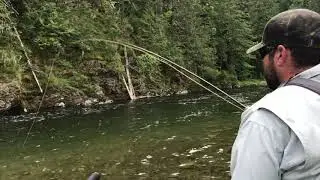 Dry Fly Fishing on the St. Joe River, Idaho - Short Clip