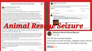 Gonzalez County, Texas Horse Rescue Cruelty Investigation