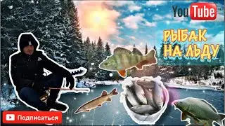 РЫБНЫЕ БУДНИ/ В ПОИСКАХ РЫБЫ ЗИМОЙ