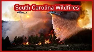 South Carolina Wildfires Rage: Table Rock and Persimmon Ridge Force Evacuations