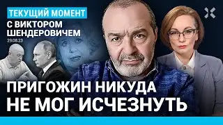 ШЕНДЕРОВИЧ: Путин не прощает ничего. Пригожин не мог исчезнуть. Ширвиндт о Талызиной