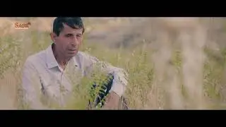 Очачон _ Сангилло Тешаев / Ochajon _ Sangillo Teshaev 2020