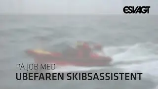 På job med ubefaren skibsassistent