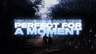 Nikademis & Dani King - Perfect For A Moment (Official lyric video)