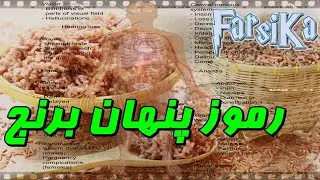 ببینید برنج چگونه باعث مرگ مردم می شود