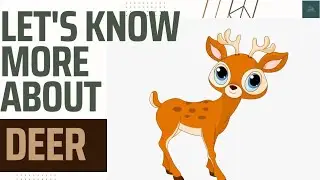 Let's know more about Deer 🦌