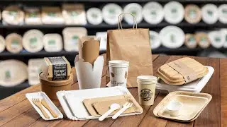 PAPSTAR - naturally sustainable! (About us, Product range, Logistics and service, Solutions)