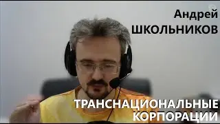 Зачем нужны транснациональные корпорации? || Андрей Школьников 