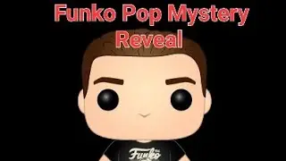 Mystery Funko Pop Reveal.