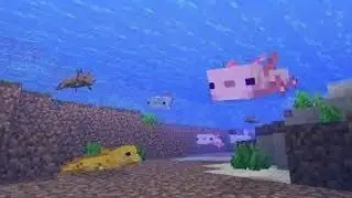 novos blocos e animais do minecreft