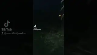 Убираємо кукурудзу