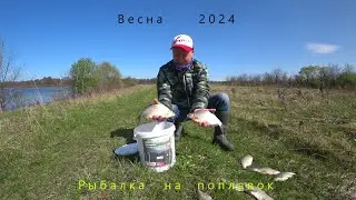 РЫБАЛКА на поплавок ВЕСНА 2024