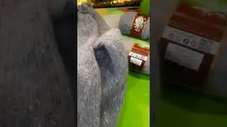 🧶Мой опыт по вязанию из Кид мохера.Для начинающих вязальщиц.
