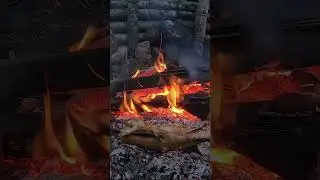 Впіймав і приготував