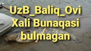 Baliq ovi 
