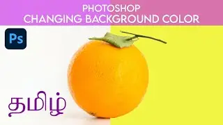 SELECTION TOOLS | Lesson 4 PART 3 | TAMIL TUTORIAL | Adobe Photoshop
