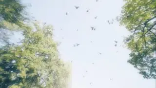 Lovarran & unfamouslouie - Ils Me Manquent Mes Rêves (official visualizer)