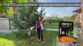 Догляд за хвойними та декоративними рослинами восени. Як підготувати хвойні рослини до зими. Поради.