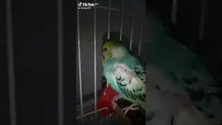 когда знаешь где живёт барыга!