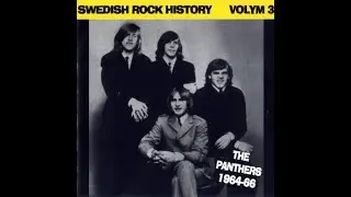 The Panthers - Come Back To Me