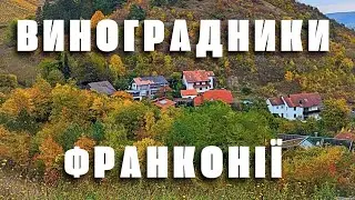 Гора летунів ч2 Виноградники