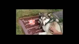 слишком ревную🥺😔🥀💔😭