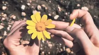 Assiprime - Grazie