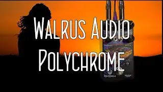Creating soundscapes with the Walrus Audio Polychrome Flanger
