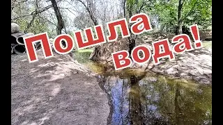 Пошла вода в речушку!