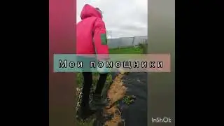 Дачные выходные!