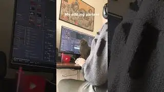 Everytime .. #cat #editing #blender #foryou