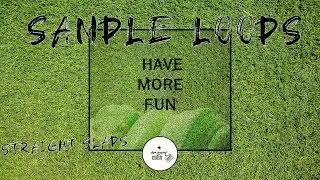 SAMPLE LOOP PACK  | HAVE MORE FUN | INSPIRED BY YOUNG THUG SO MUCH FUN 🐍