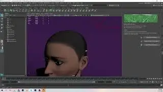 25.  Setting up your XGen Scene. Some common mistakes everyone makes