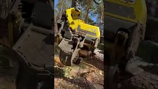 “Forest Efficiency:Tree Cutting with a Harvester” 