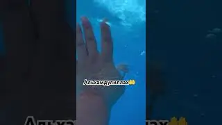 #многодетнаясемья#влогмусульманки#буднимамы