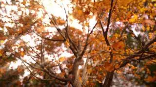 Falling