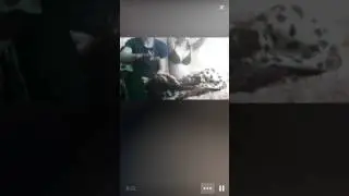 Разврат в перископе. Девочка в нижнем бельё. 18+