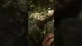 дюп камней в Sons Of The Forest патч 6 