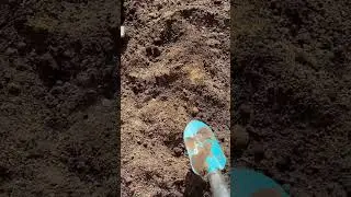 ПОДГОТОВКА ГРЯДКИ ПОД ЧЕСНОК 