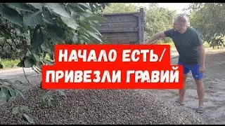 #172ПЕРЕЕХАЛИ