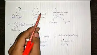 Coenzyme  | Biochemistry