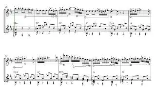 Menuet De L'arlesienne (Duo)- Arranged & Played by Dong-hwan Noh