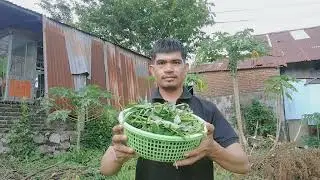 PANEN KANGKUNG LANGSUNG TUMIS GA PAKEK REBUS 😂