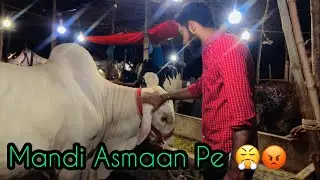 Mandi Asmaan Py 🤬☹️ | Qurbani 2k23 | #trending #viral #vlog