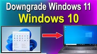 How to Downgrade Windows 11 to Windows 10 | Free Downgrade