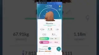 Bonus Video Evolving Piloswine