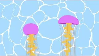 Seed Academic Animated Video Showreel
